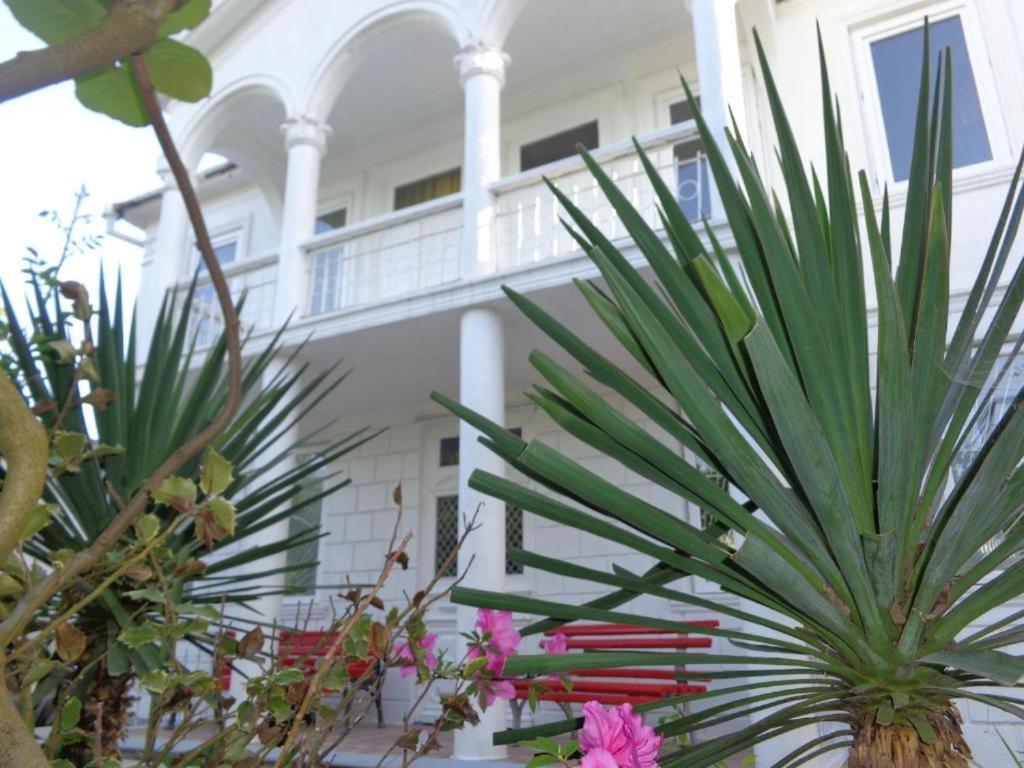 White Guest House Батуми Екстериор снимка