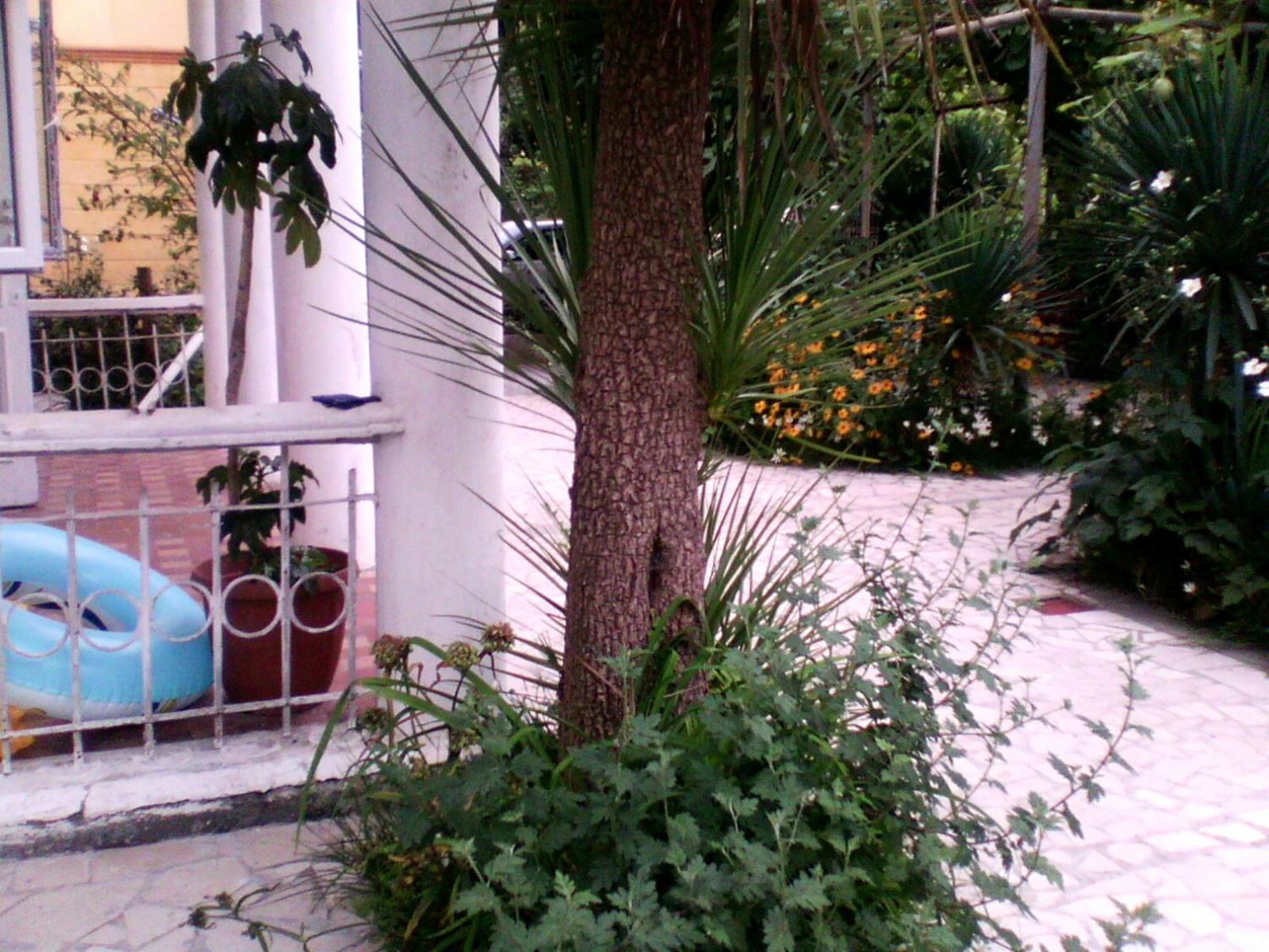 White Guest House Батуми Екстериор снимка