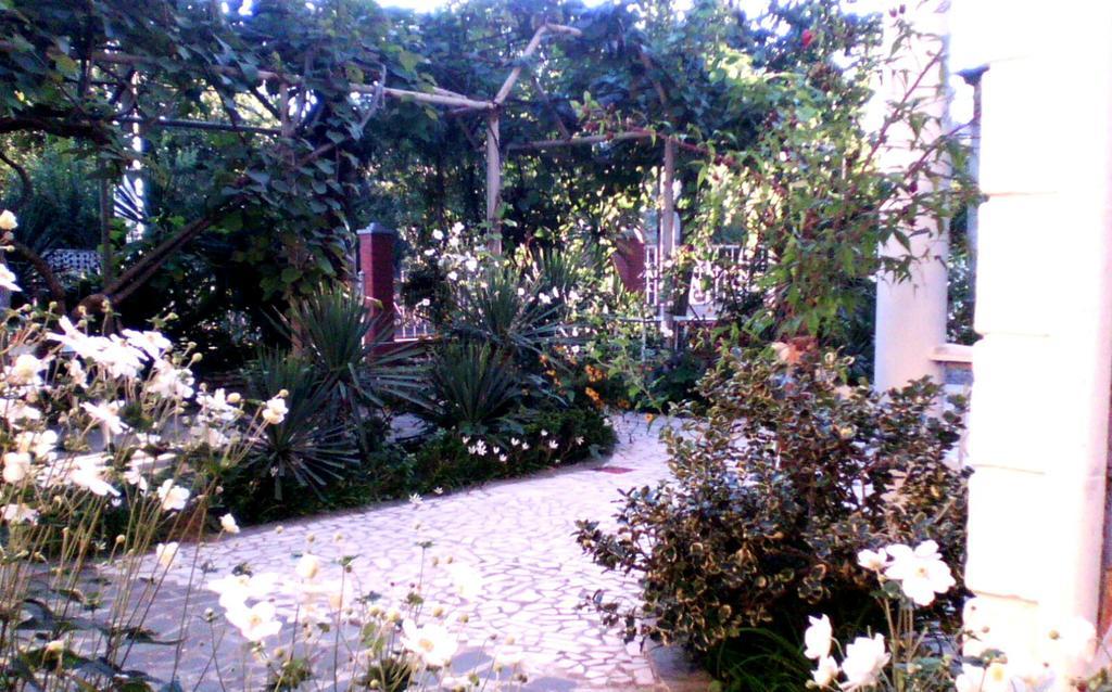 White Guest House Батуми Стая снимка