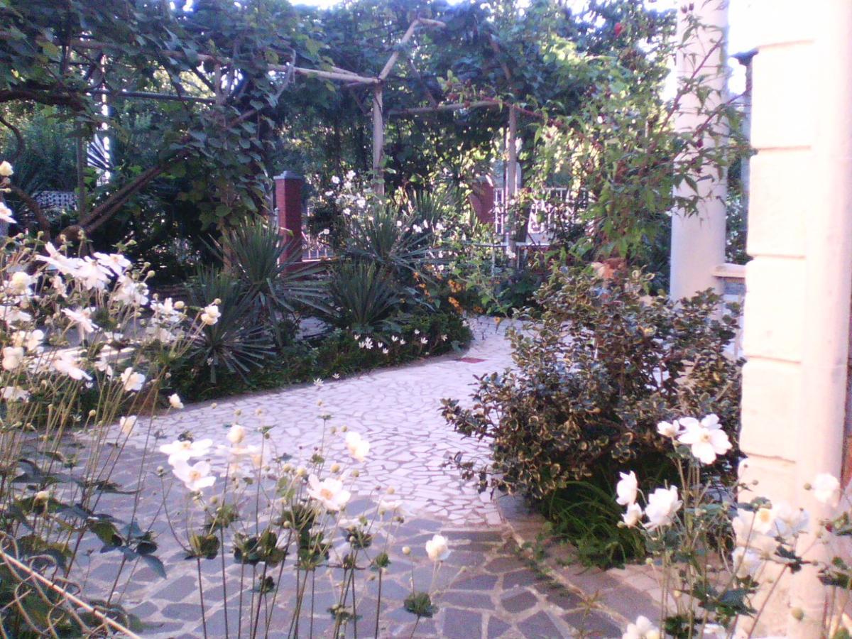 White Guest House Батуми Екстериор снимка